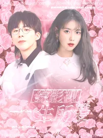 综影视：一生所爱