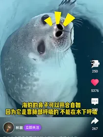 肖战杨紫：相遇即是缘