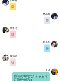 王总追妻日记