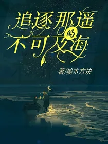 追逐那遥不可及的海