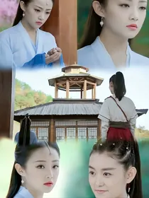 情止于藕龙