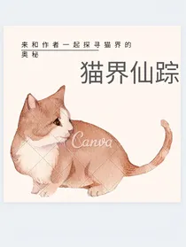 猫界仙踪