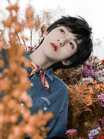 贺峻霖：深红蔷薇花语
