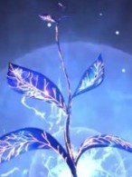 斗战王者