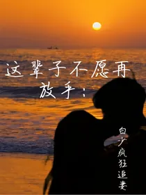 这辈子不愿再放手：白少疯狂追妻