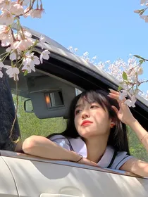 来年的桃花不用开了