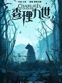 我的查理九世之观