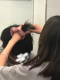 少爷，夫人又作妖了