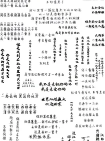 只因有你陪伴
