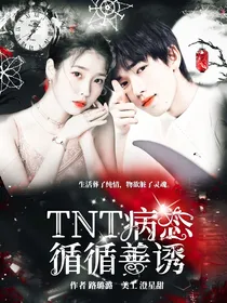 TNT：病态—循循善诱