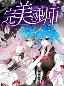完美魂师