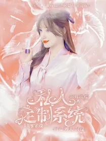 私人定制系统