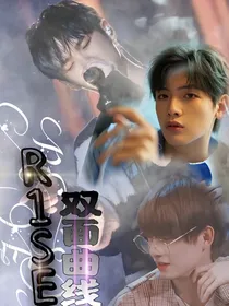 R1SE：双面曲线
