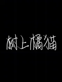 树上橘猫