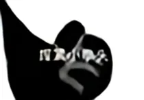 总裁追妻：夫人别跑