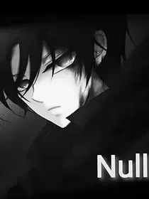Null传——d241