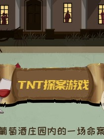 TNT：惊恐之夜