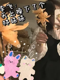 十八楼：天上掉下了个林妹妹