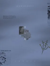 LS永生花
