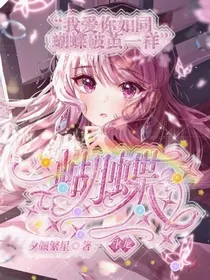 斗龙：蝴蝶
