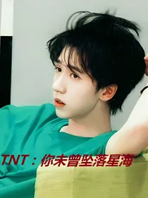 TNT：你未曾坠落星海