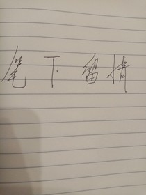 夫人，笔下留情
