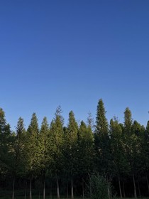 小偷—续写