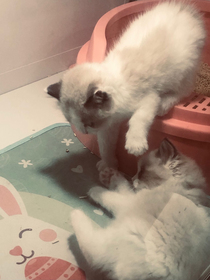 不识月但识你