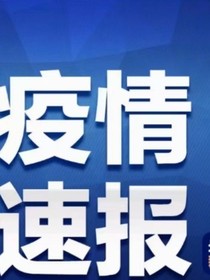 n王者