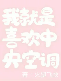 我就是喜欢中央空调