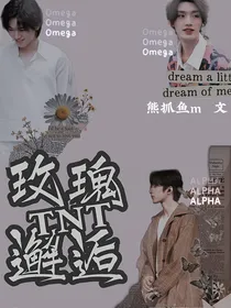 TNT：玫瑰邂逅