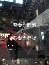 虐妻一时爽……追妻火葬场