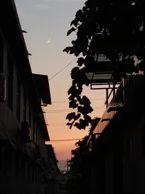 酒生