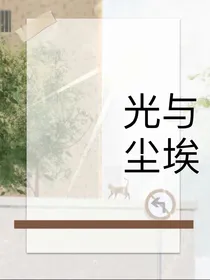 光与尘埃