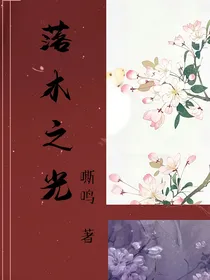 落木之光