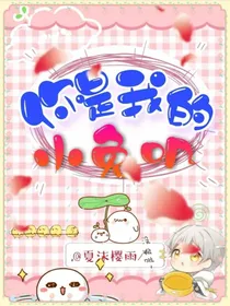 你是我的小兔叽