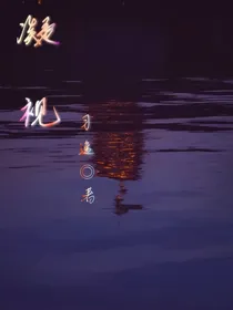 凝视……