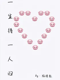 一生待一人归