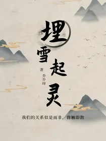 盗笔bg埋雪起灵