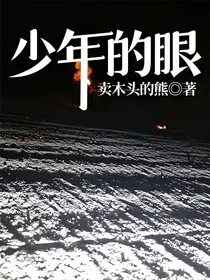 少年的眼