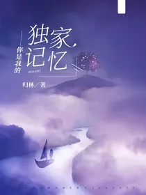 你是我的独家记忆（言情）