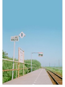 TNT：我们的乡村之旅
