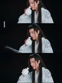 陈情令之六界之主