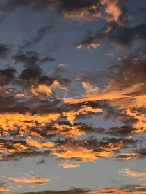 情雷