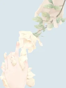 我爱你，我不爱你，我不能爱你