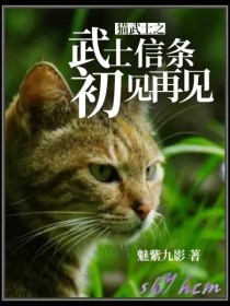 猫武士之武士信条——初见再见