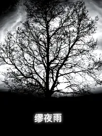 凹凸之缪夜