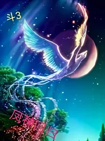 斗3凤神回归-d338