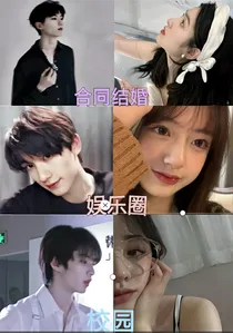 婚姻合同娱乐圈校园
