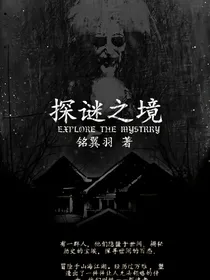 探谜之境